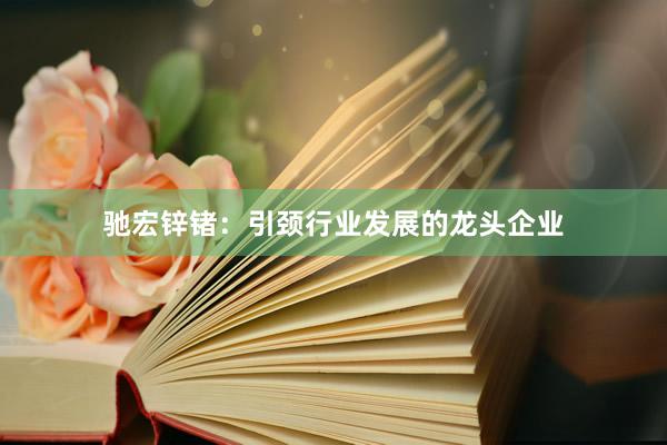 驰宏锌锗：引颈行业发展的龙头企业