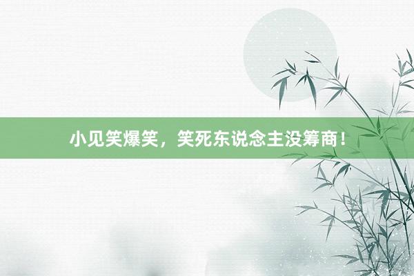 小见笑爆笑,笑死东说念主没筹商!